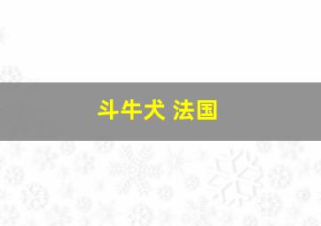 斗牛犬 法国